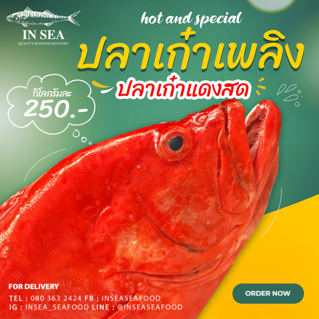 6 1024x1024